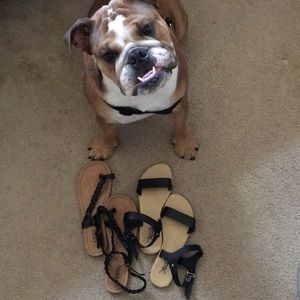 3 Sandals For 1 Price: Kenneth Cole, H20, Anna